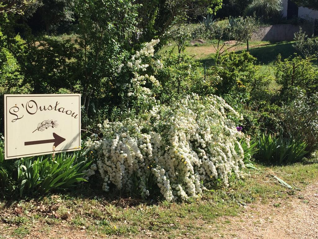 L'Oustaou B&B Piscine & Spa Besse-sur-Issole Εξωτερικό φωτογραφία