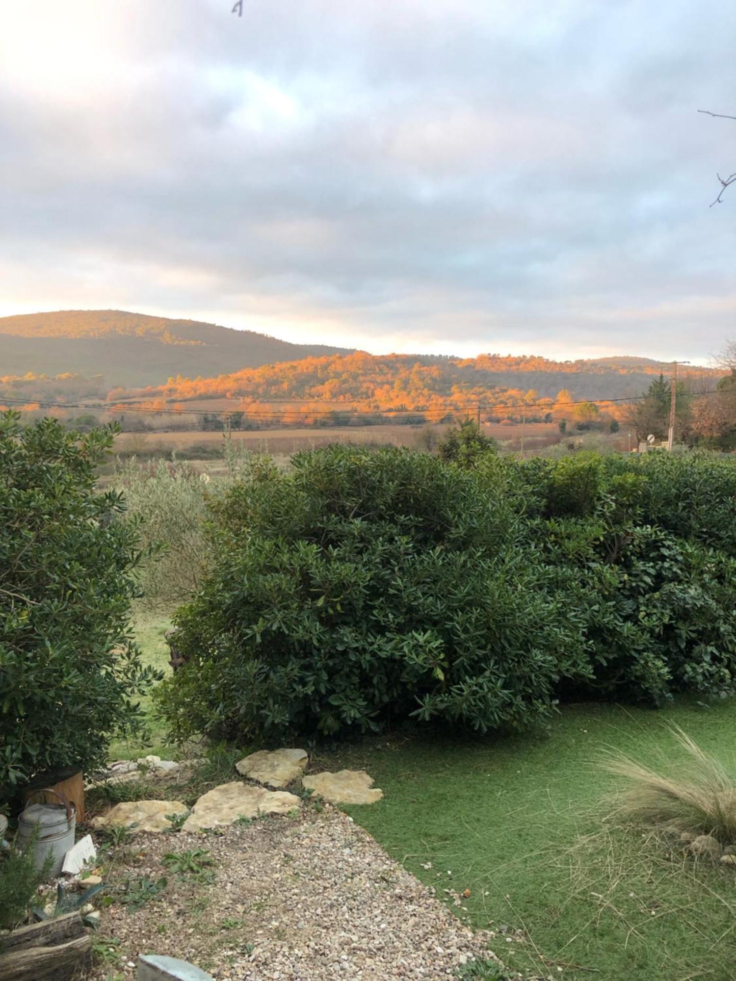 L'Oustaou B&B Piscine & Spa Besse-sur-Issole Εξωτερικό φωτογραφία