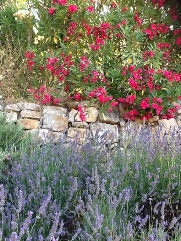 L'Oustaou B&B Piscine & Spa Besse-sur-Issole Εξωτερικό φωτογραφία