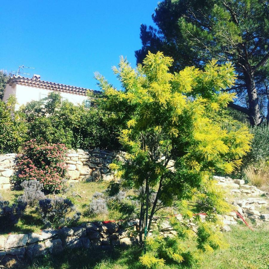 L'Oustaou B&B Piscine & Spa Besse-sur-Issole Εξωτερικό φωτογραφία